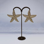 Σκουλαρίκια αστερίες